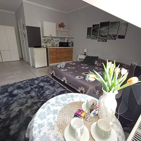 Apartment Niyaz Warsaw